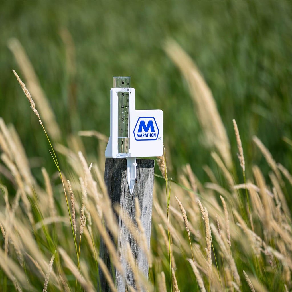 Classic Jumbo Rain Gauge 2 Classic Jumbo Rain Gauge - Image 2